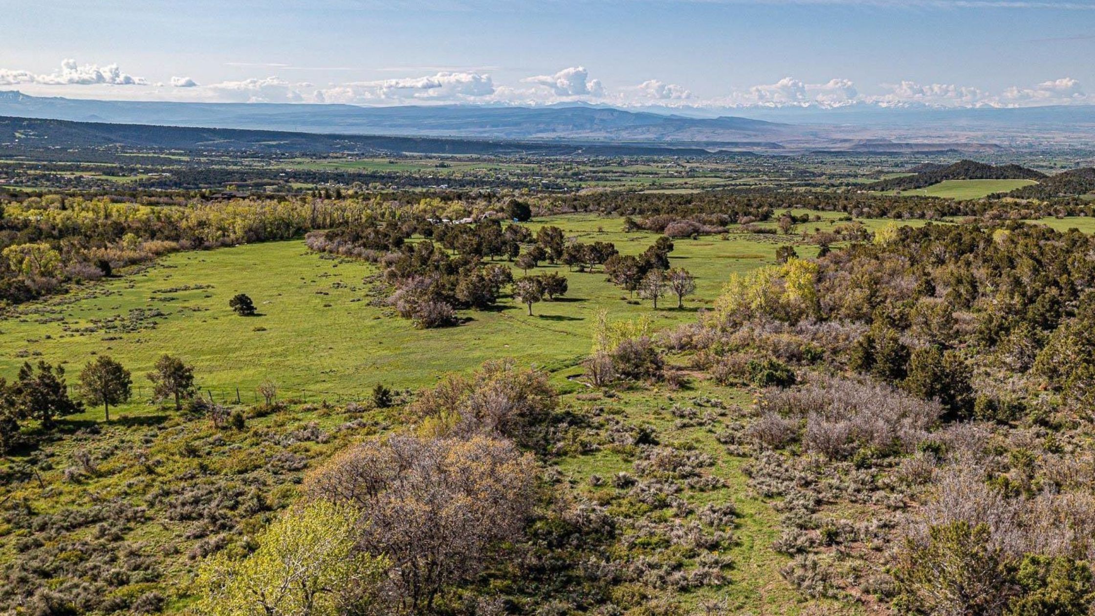 Panoramic view of Western Colorado landscape, showcasing a vast expanse of rolling green pastures dotted with trees, transitioning into brush-covered hills. In the distance, layers of mountains fade into the horizon under a blue sky with scattered white clouds. This aerial perspective captures the diverse terrain and natural beauty characteristic of Western Colorado's ranch and lifestyle properties.