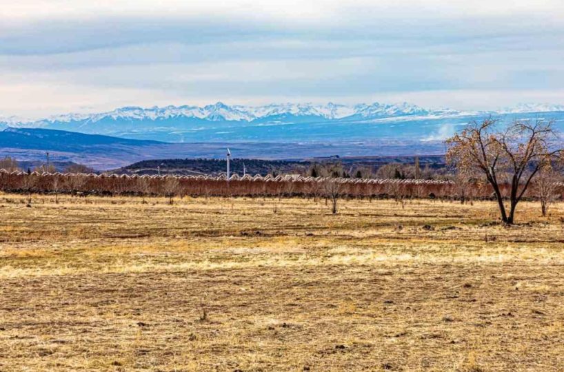 24-acre irrigated hay pasture in Cedaredge, Colorado, featuring panoramic mountain views of snow-capped peaks, neighboring apple orchards, and level agricultural land ready for farming.