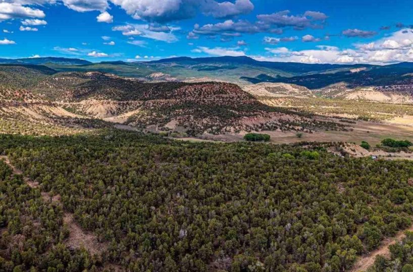 Aerial view of a 40.5-acre mountain recreational lot in Cedaredge, Colorado, showing dense piñon and juniper forest in the foreground with panoramic mountain views and dramatic cloud-filled blue skies in the background.